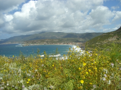 Blumenküste auf Sardinien -1-