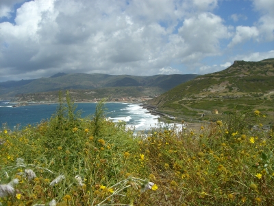 Blumenküste auf Sardinien -2-
