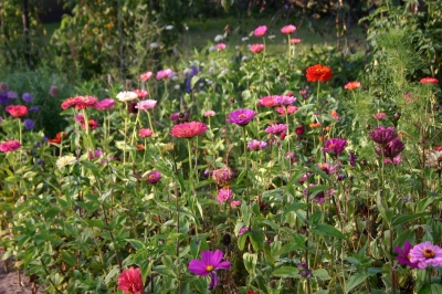 Sommergarten-1