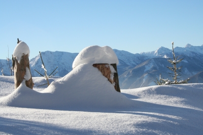 Schneehaube