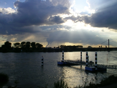 Der Rhein