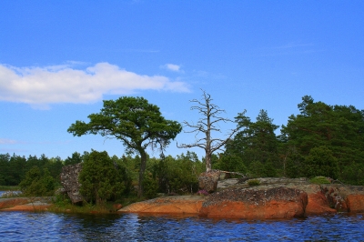 Eine Insel auf der Ostsee