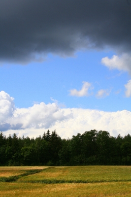 Schönes Wetter- Schlechtes Wetter !?!?