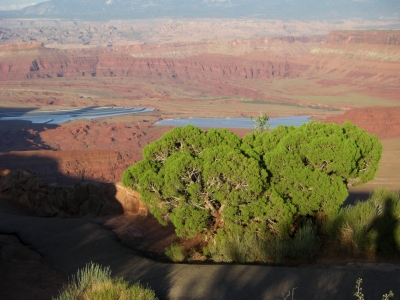 Sunset at the canyonlands near dead horse point