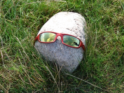 Stein mit Brille