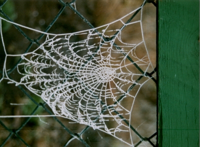 Frostiges Netz