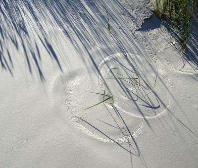 Malende Gräser am Strand