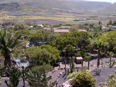 Typische Landschaft für Lanzarote