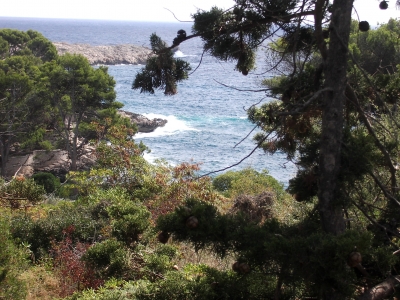 MALLORCA CALA RATJADA