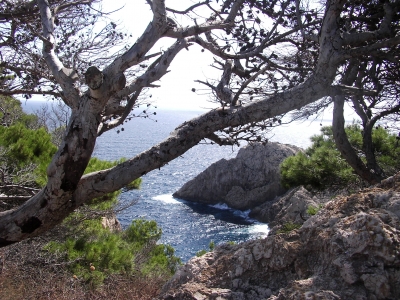 MALLORCA CALA RATJADA