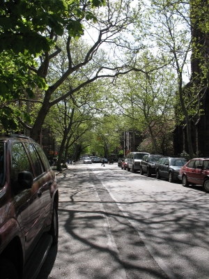Kane Street in Brooklyn