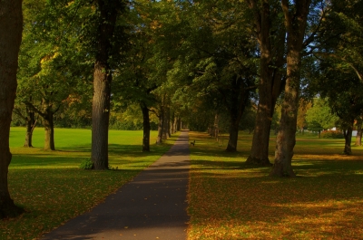 Herbst in Bad Driburg