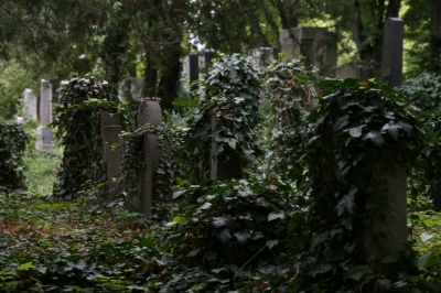 Jüdischer Friedhof Wien _2