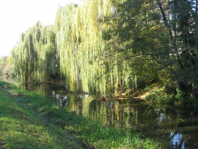 Herbststimmung