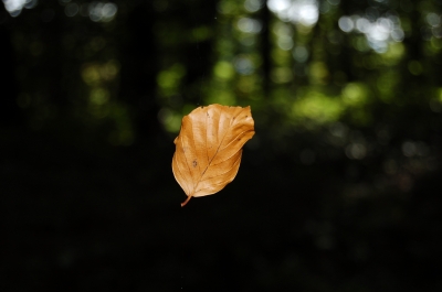 Herbst ist da