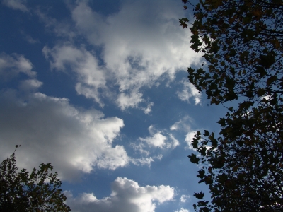 Wolken hinter Baum