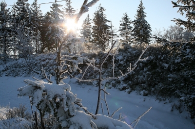 Winter in Beskiden
