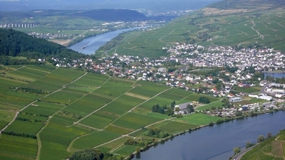 schöne Mosel