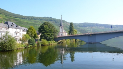 Mosel bei Trittenheim