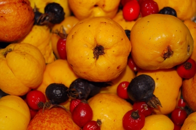 Eine Schale voller Früchte