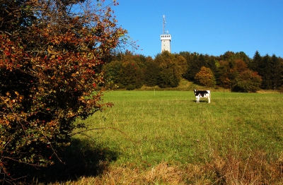Rother Kuppe in der Rhön mit Turm