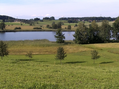 Lützelsee