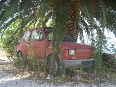 Maluch unter Palmen oder Fiat126