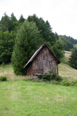 Heuhütte im Schwarzwald