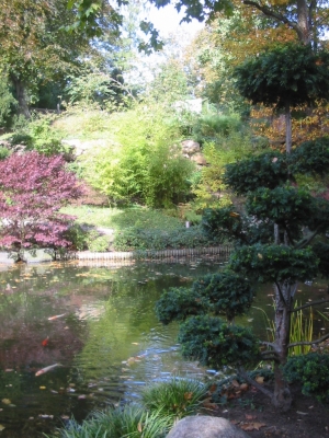 Japanischer Garten