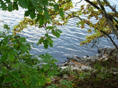 Bütgenbacher See am Nachmittag