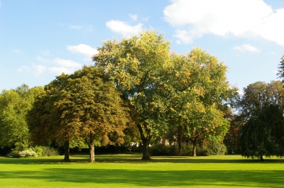 Kurpark Bad Driburg