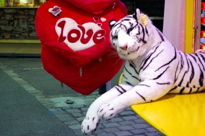 Tiger und Liebe