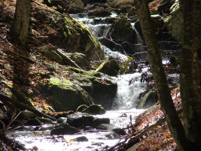 Wasserfall Dr. Vogelsangklamm