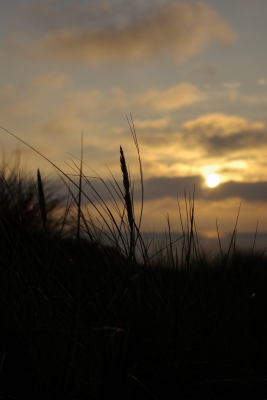 Sylter Dünen am Abend