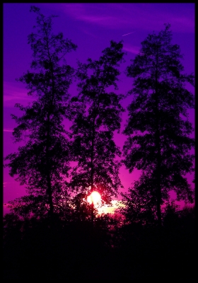 Sonnenuntergang hinter den Bäumen 2