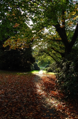 Herbstweg