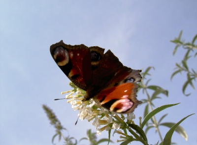 Herbstgefühle