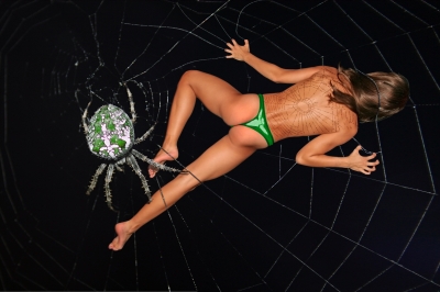 Spinnenfrau 2