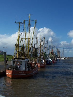 Kutterhafen Dorum bei Hochwasser