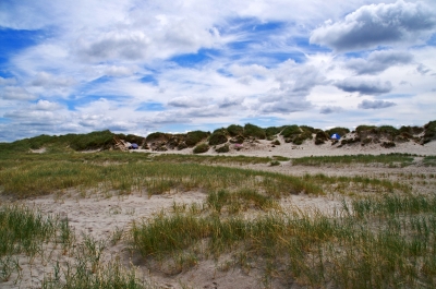 Dünenlandschaft