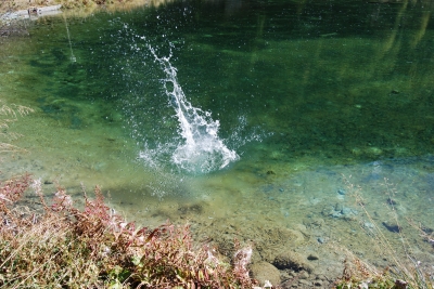 Bergsee, Spiel am Wasser  2