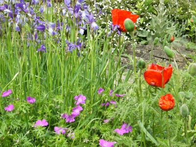 Erinnerungen an den Sommer