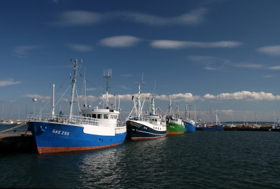 Fischerboote im Hafen von Sassnitz
