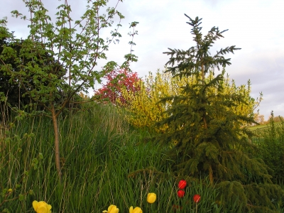 Es ist Frühling