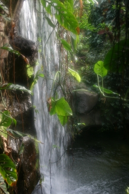 Wasserfall