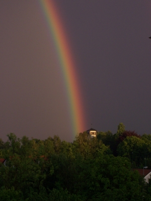 Regenbogen