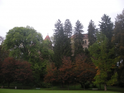 verwunschenes schloss