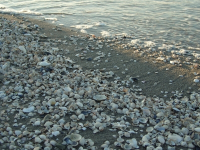 Strandspaziergang