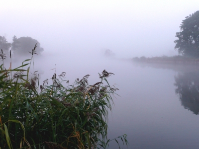 Nebel am Fluss