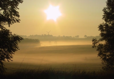 Golden Fall - Goldener Herbst